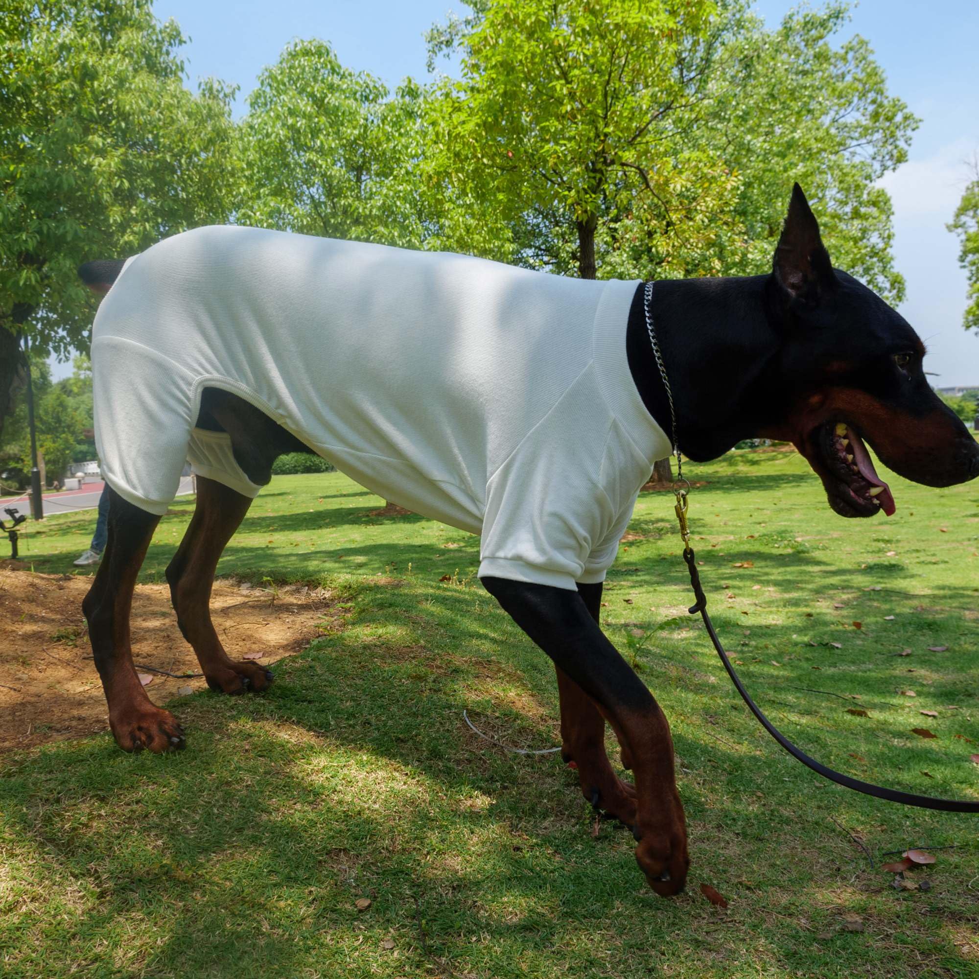 Lovelonglong pijama blanco off para perro, protección suave de la piel