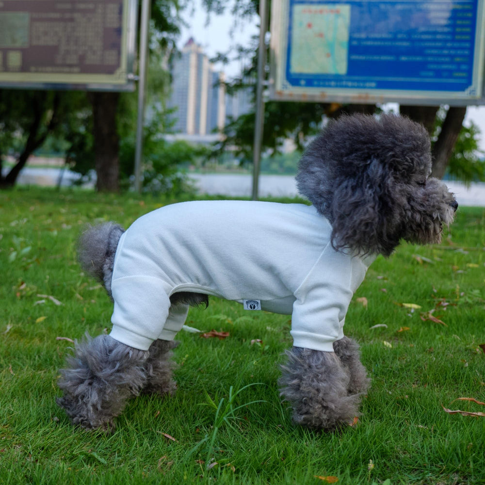 Lovelonglong diseño moderno, corte elegante para perros activos