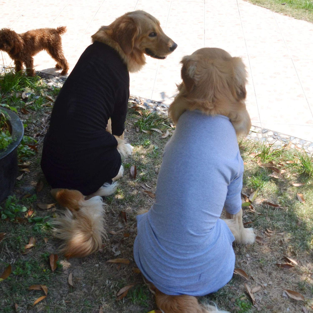 Uso diario del pijama Lovelonglong para actividades diarias del perro.
