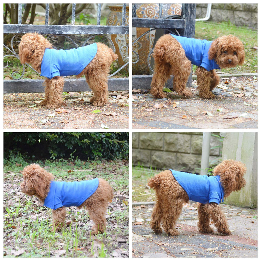 Lovelonglong polo azul ajuste cómodo y duradero