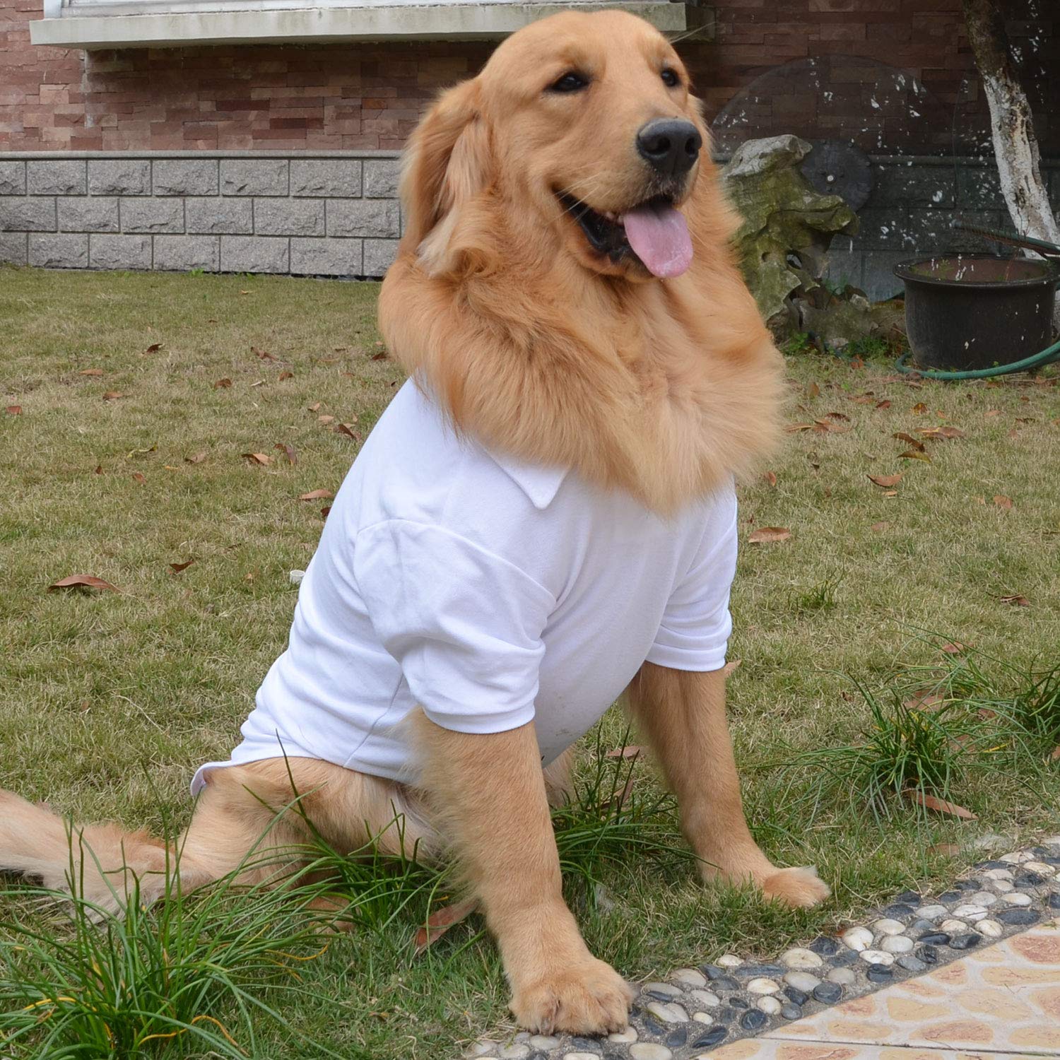 Lovelonglong polo perro ajuste fácil blanco XS, cómodo y práctico.