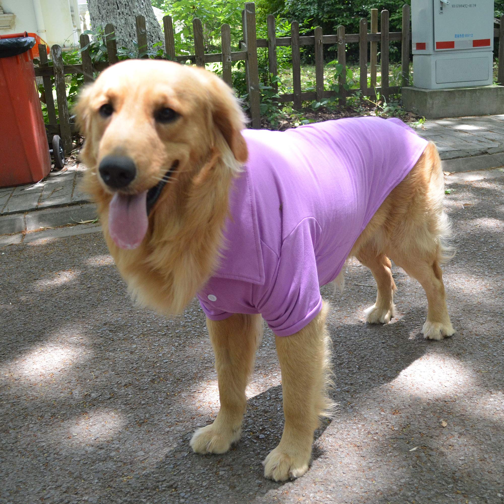 Lovelonglong polo para perro ajuste de talla XXXL, guía rápida para el ajuste.