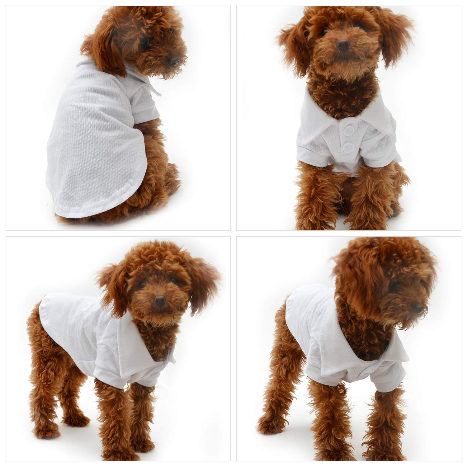 Lovelonglong polo perro algodón premium blanco XS, tela suave y transpirable.