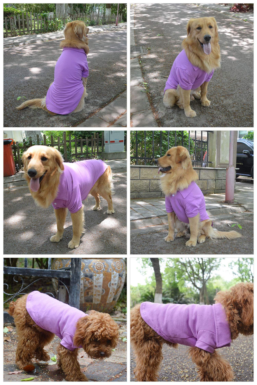 Lovelonglong polo para perro detalle collar dos botones, aspecto clásico y cómodo.