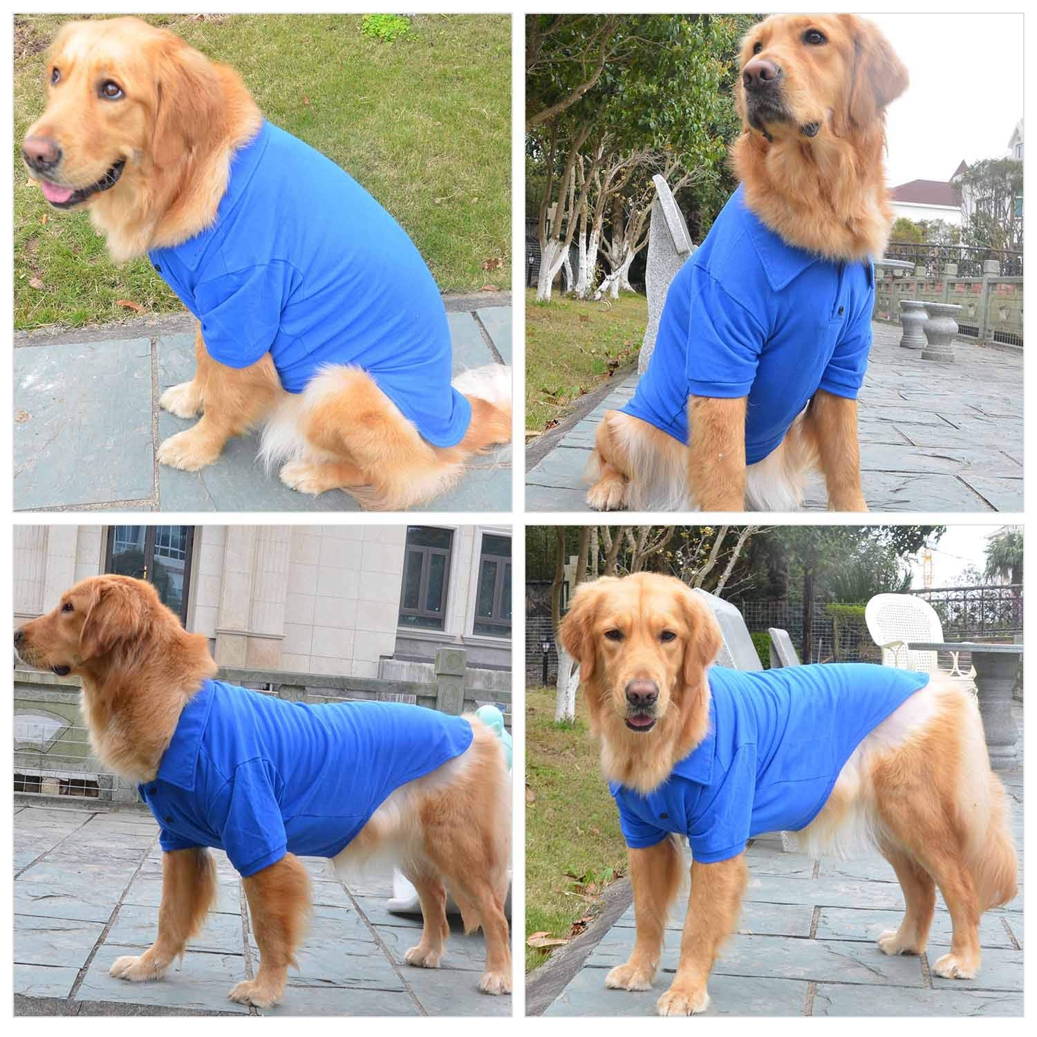 Lovelonglong polo perro detalle cuello dos botones estilo clásico