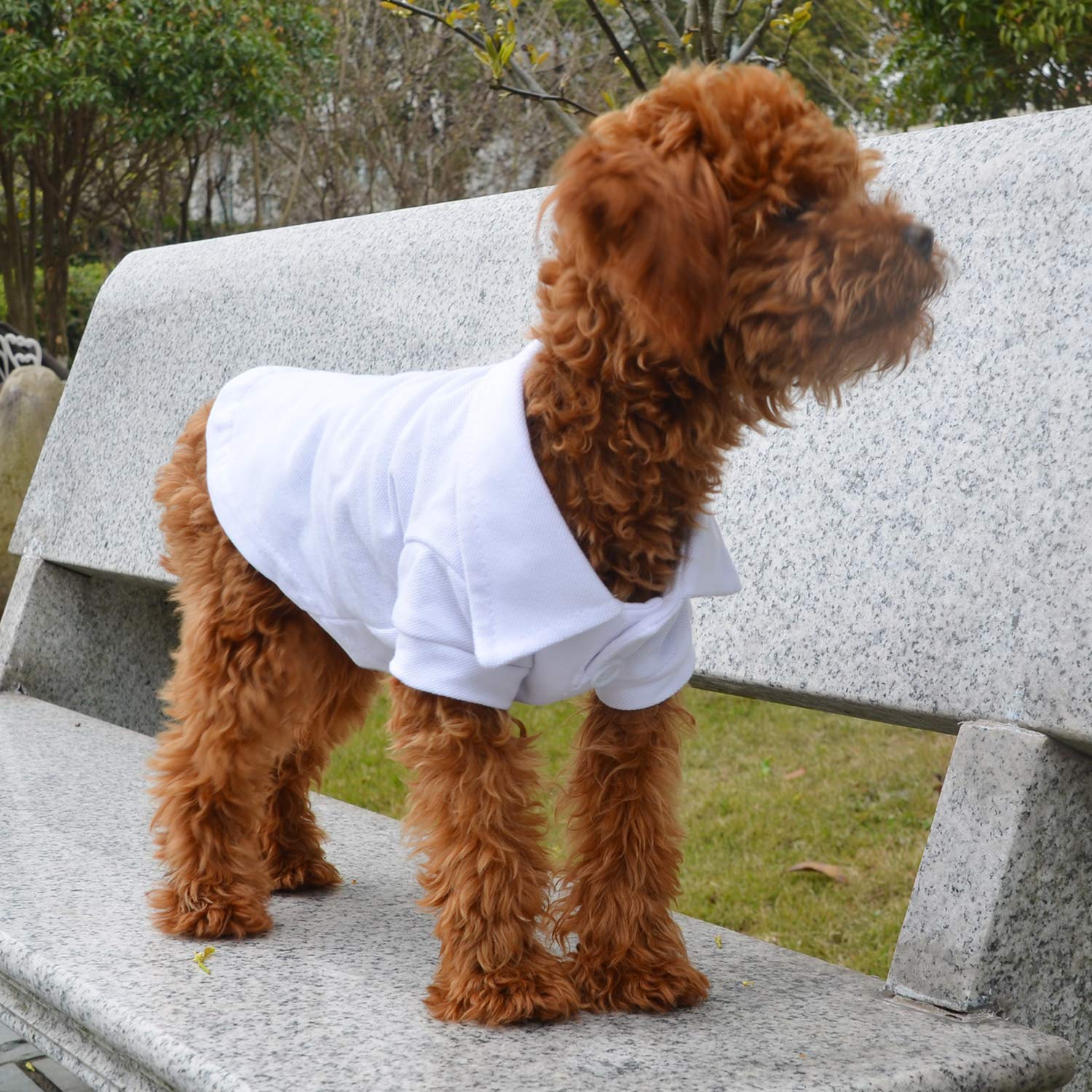 Lovelonglong polo perro diseño diario blanco XS, vestir fácil.