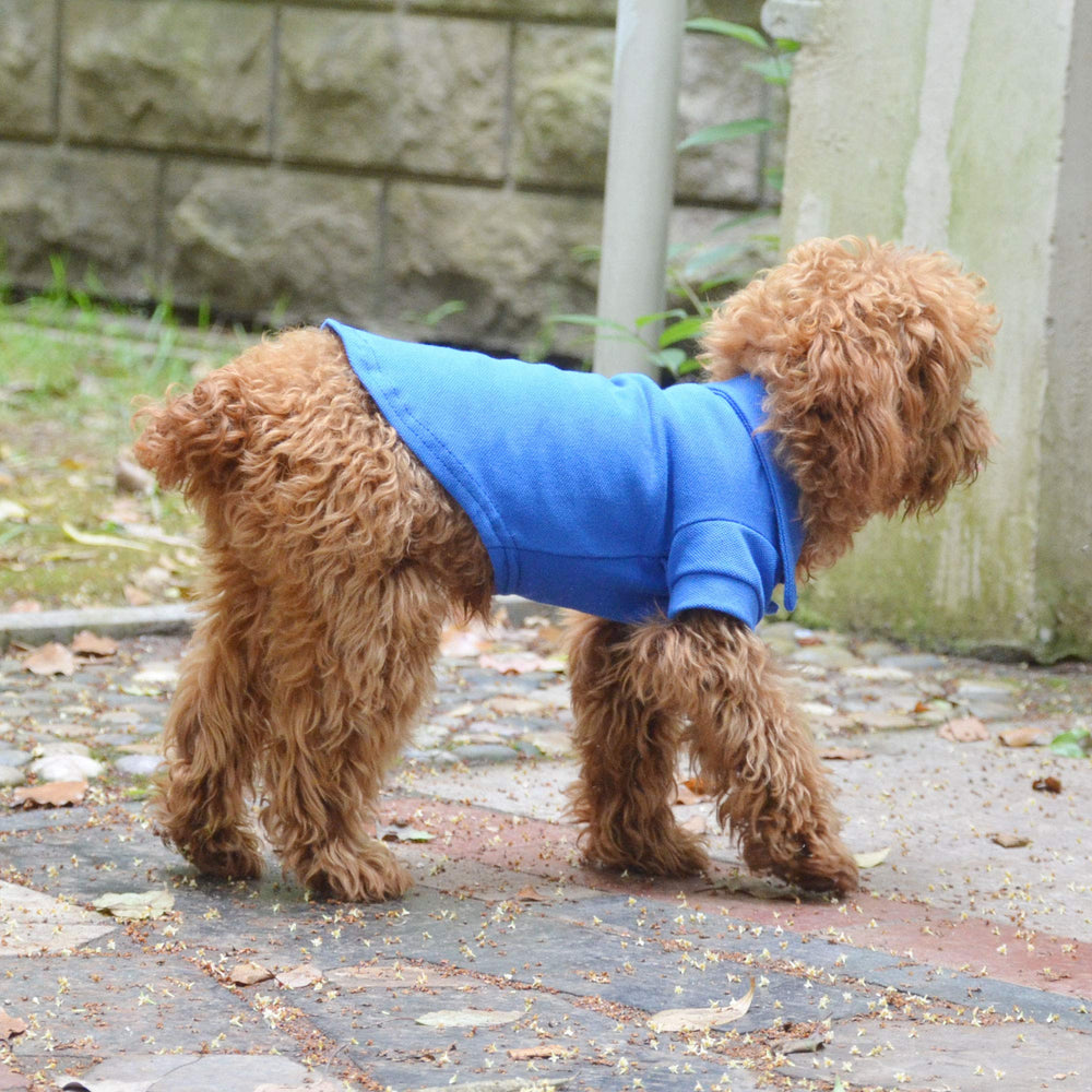 Lovelonglong polo de algodón azul ideal para paseos