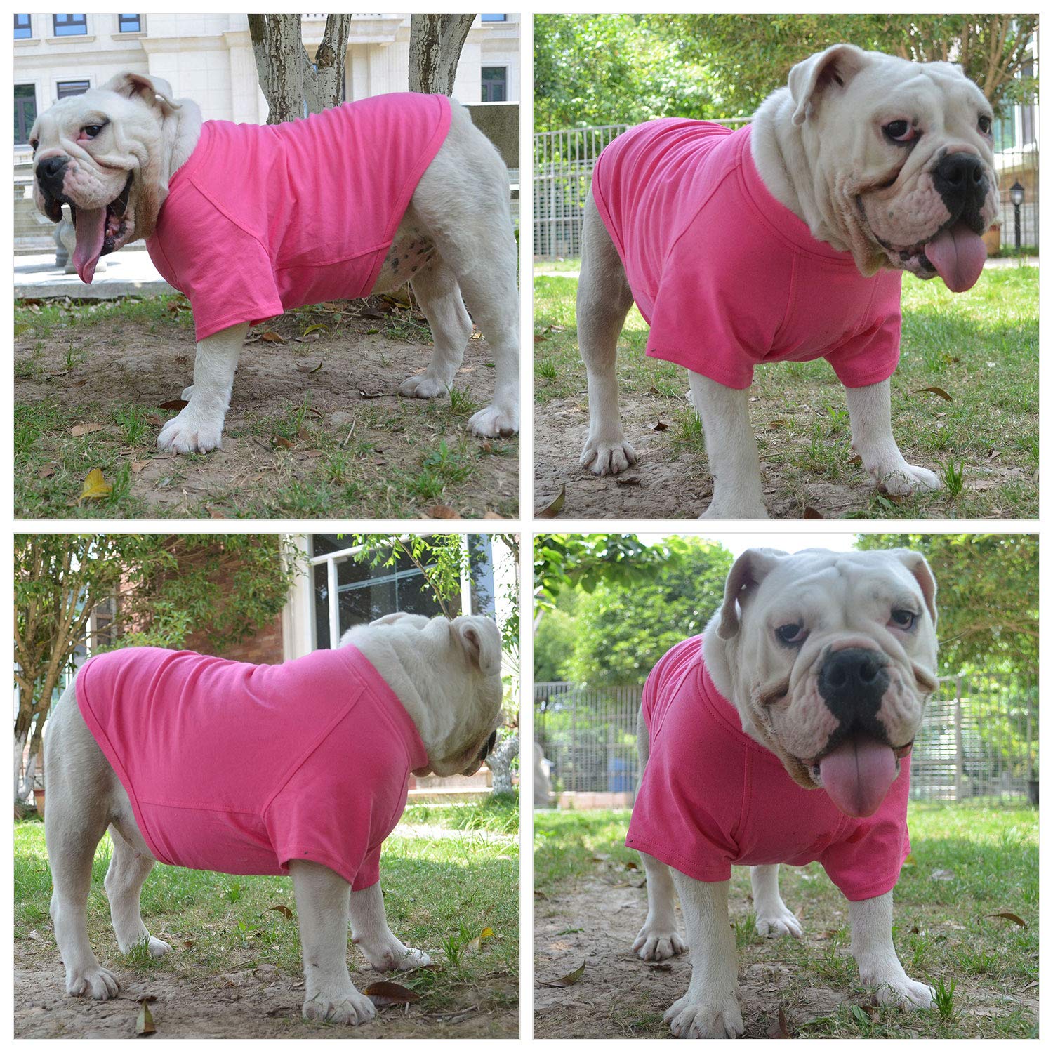 Lovelonglong ropa-perro-calidez-invierno, tela suave para días fríos.