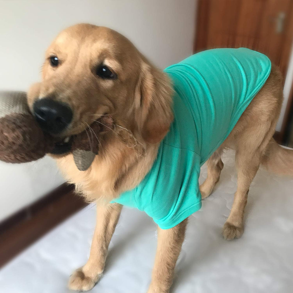 Lovelonglong sudadera para perro servicio al cliente: asistencia rápida y fiable.