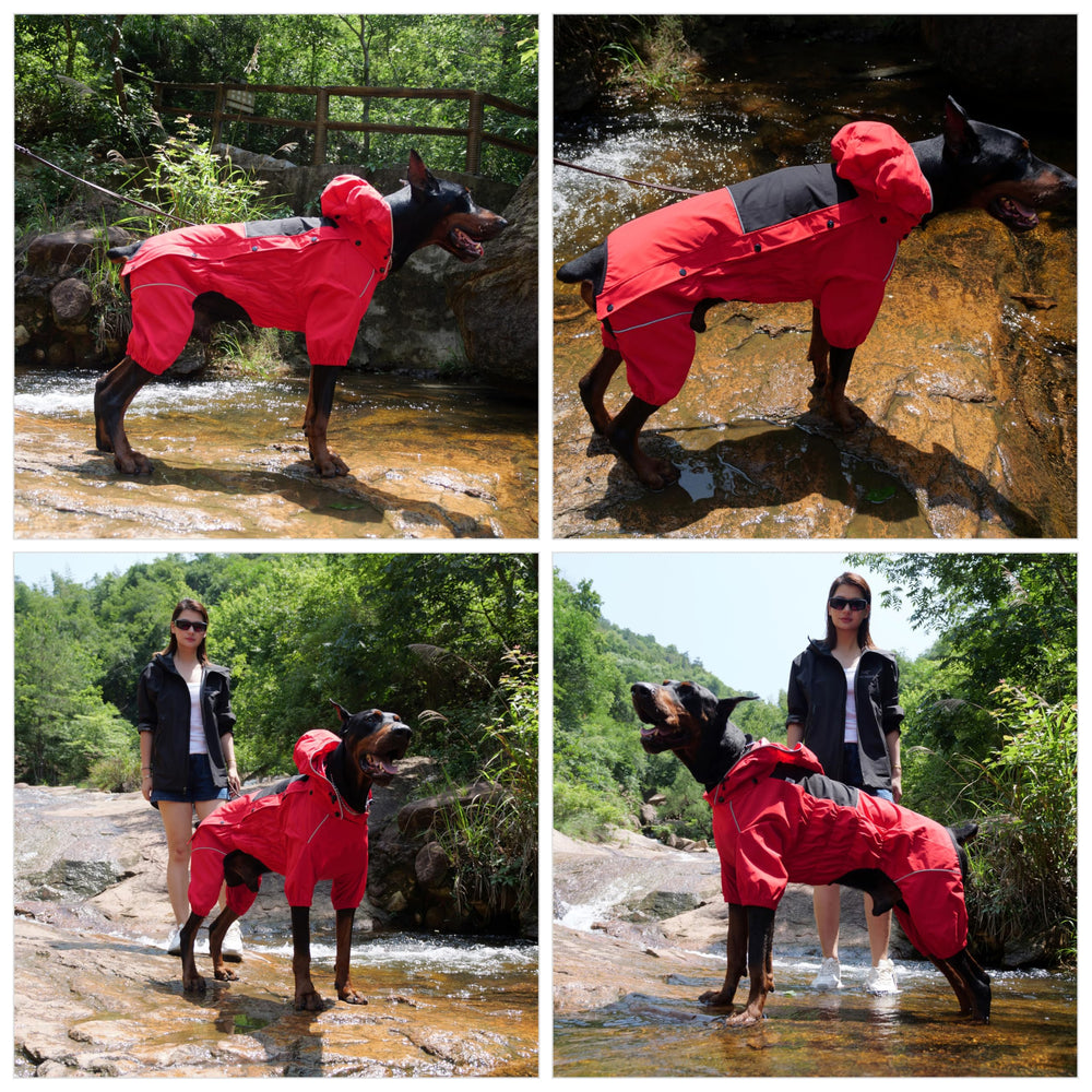 Lovelonglong tejido ligero y duradero, ideal para paseos diarios.