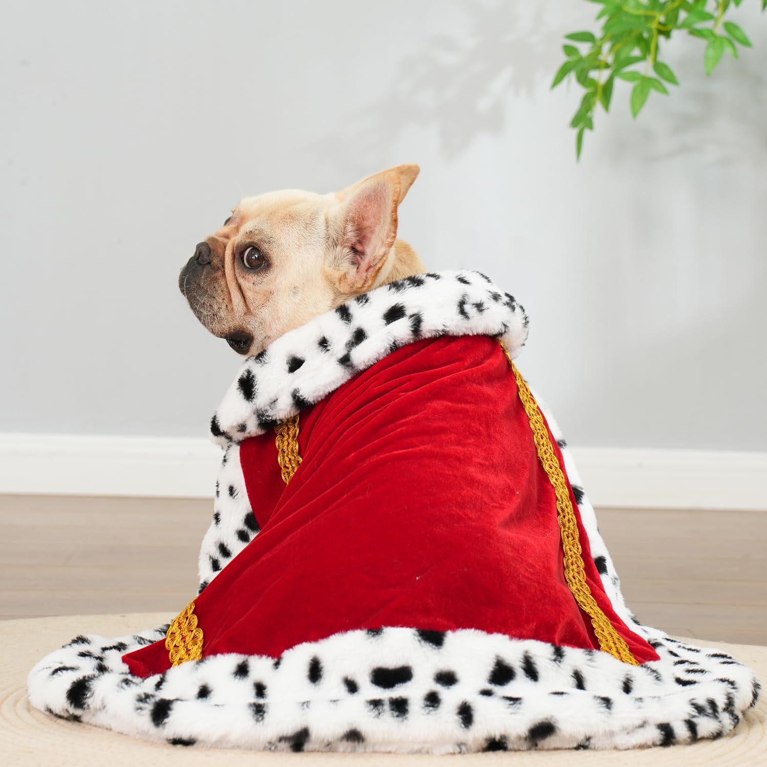 Lovelyshop disfraz para mascota rey/reina, añade un toque real.