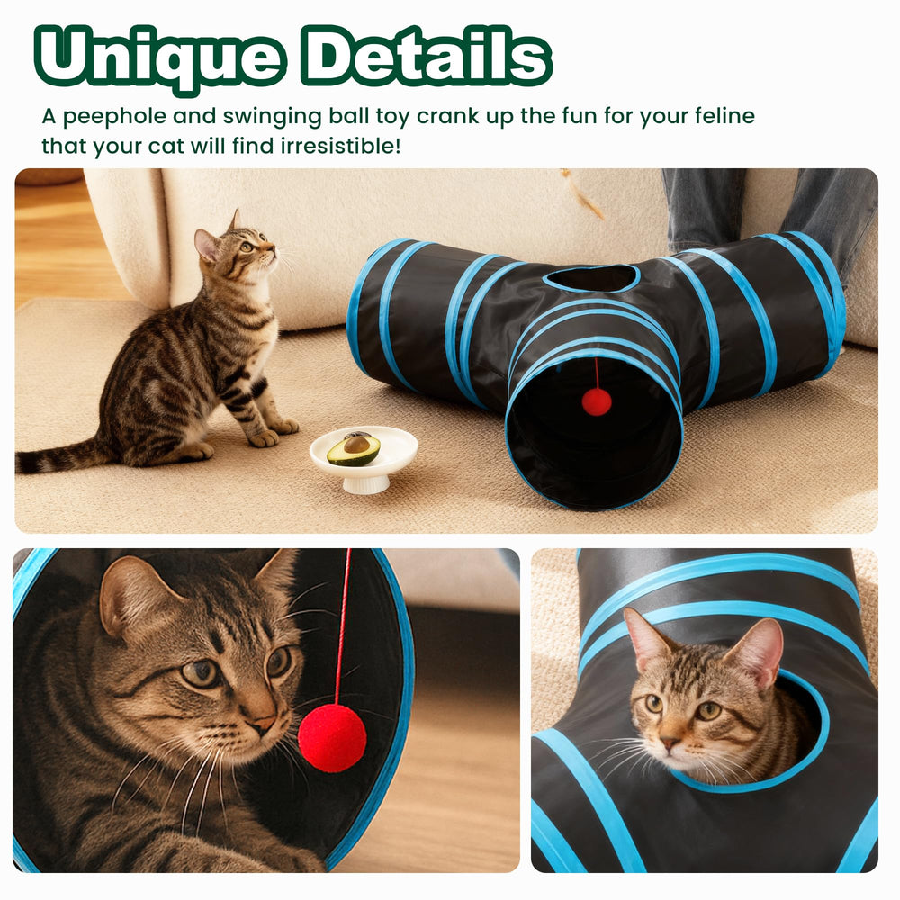 Love's cabin tunel gatos actividad diaria en interiores.