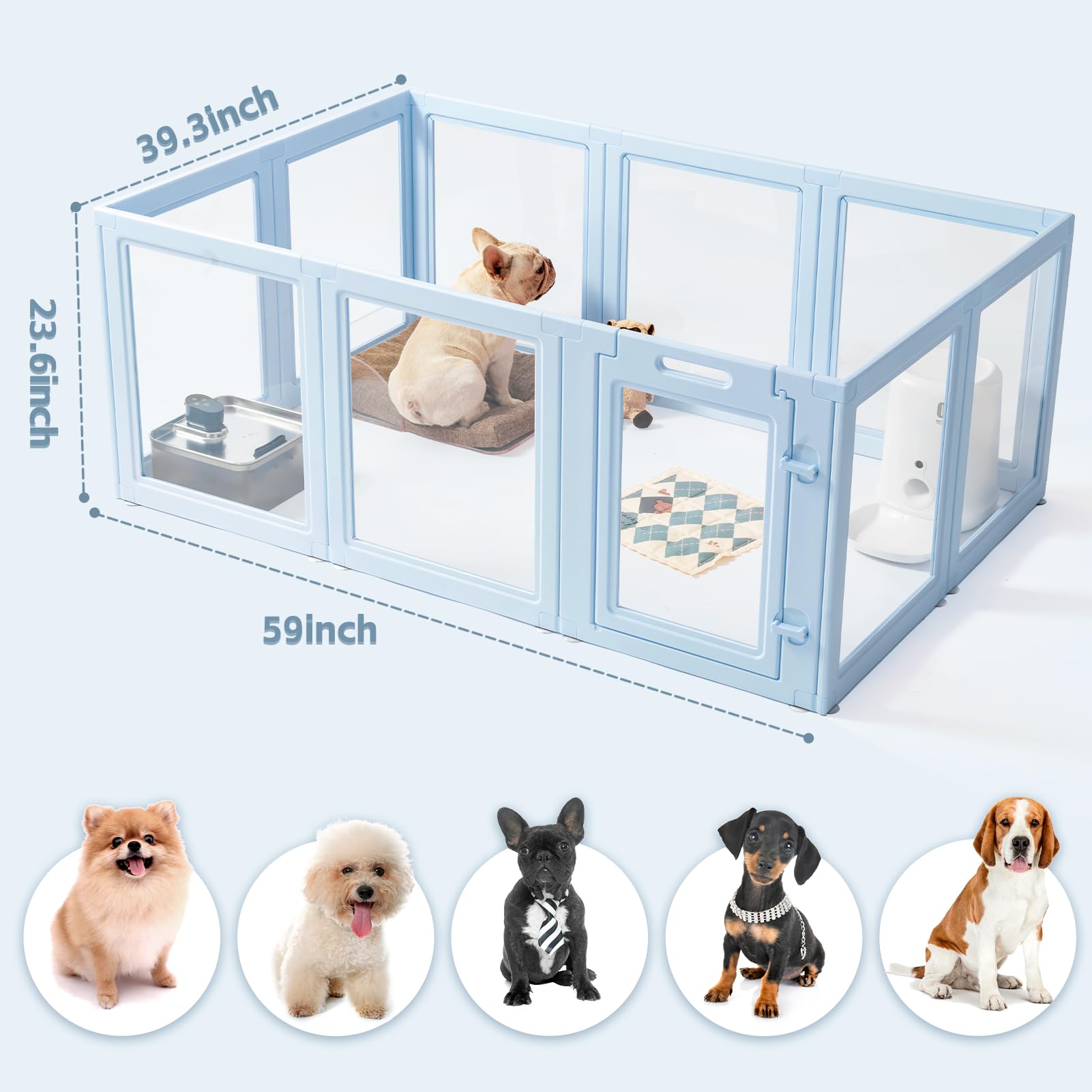 LoveTail diseño moderno transparente; aporta estética contemporánea y visibilidad para observar.