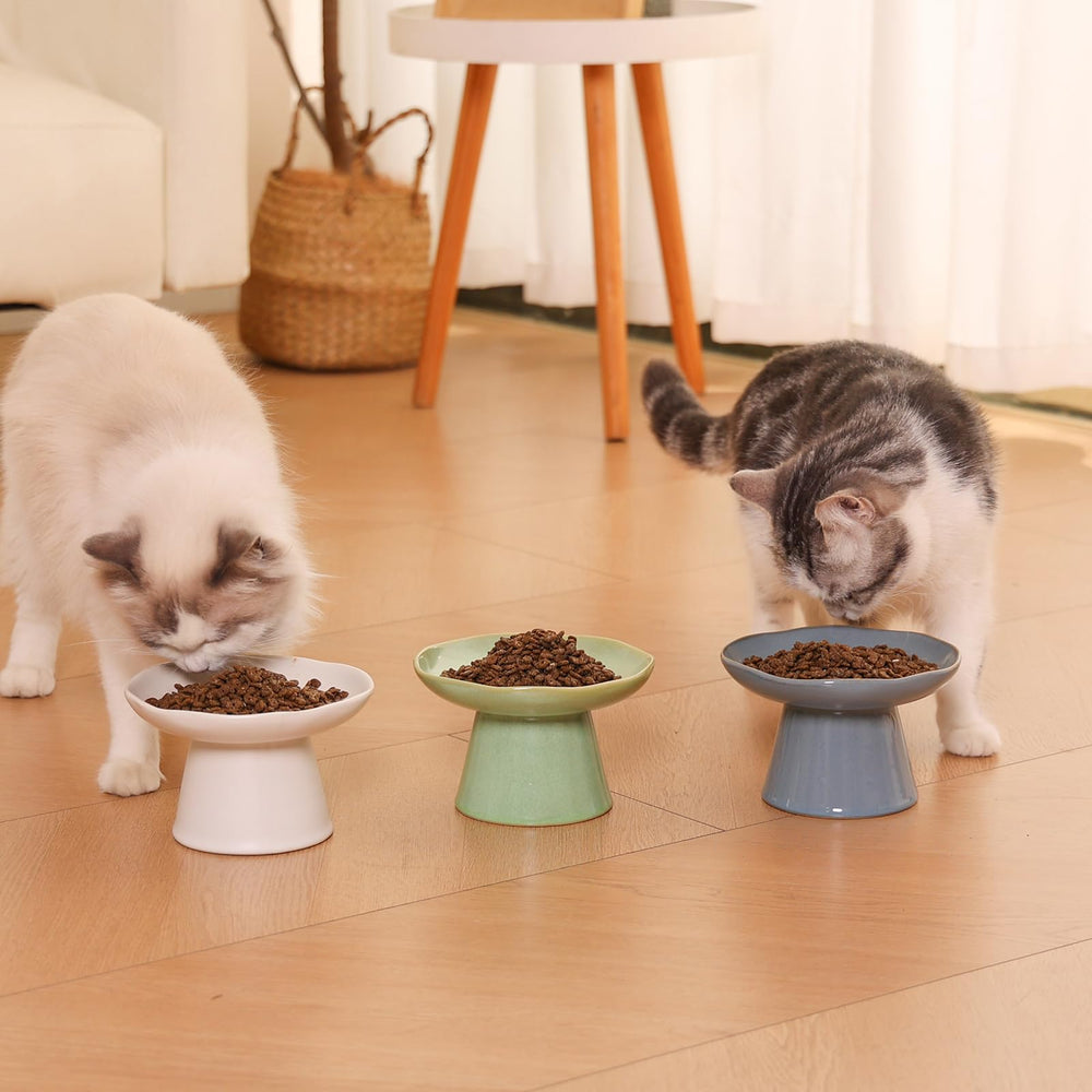 LOVINFURBABY uso diario para gatos adultos, diseño cómodo y estable.
