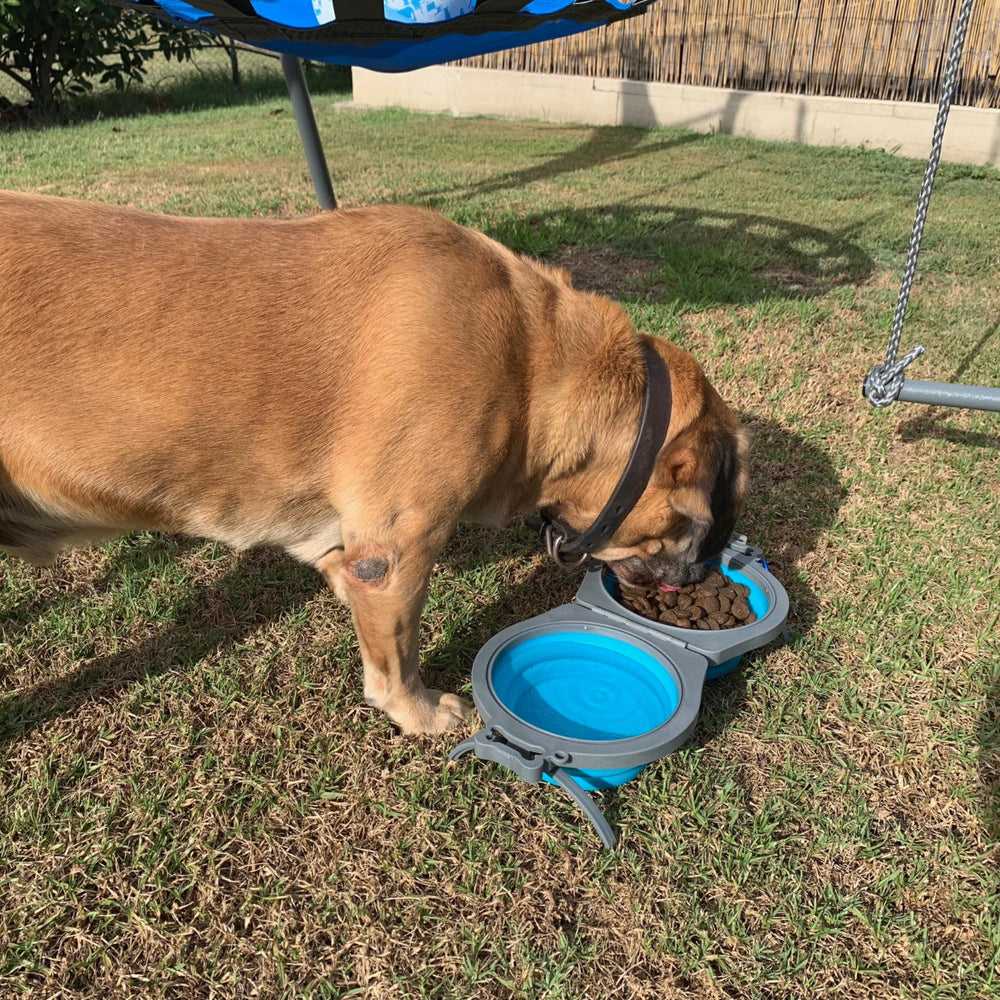 loving pets libre de BPA, seguro para uso diario.