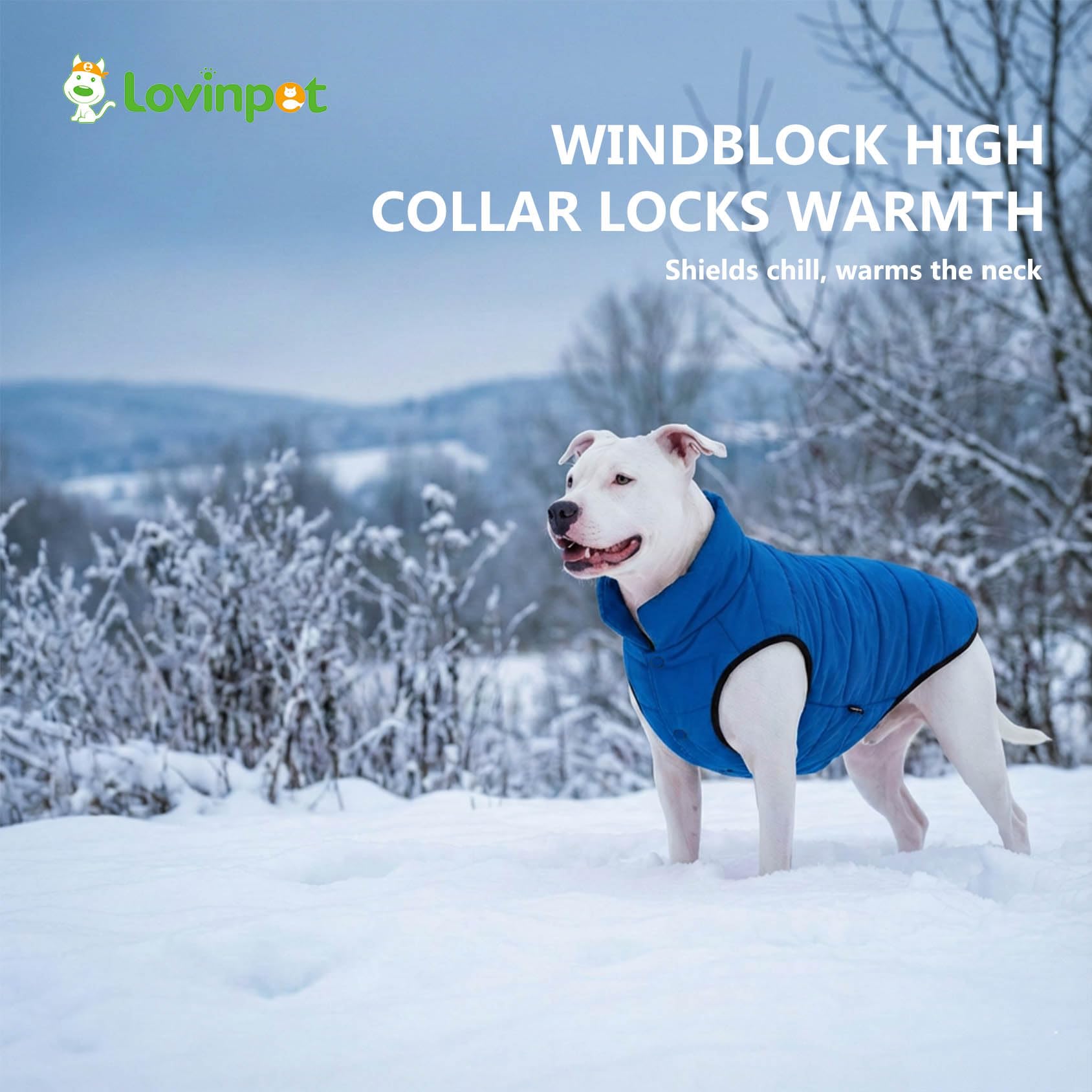 LovinPet abrigo reversible, colores azul y negro, ideal para salidas diarias.