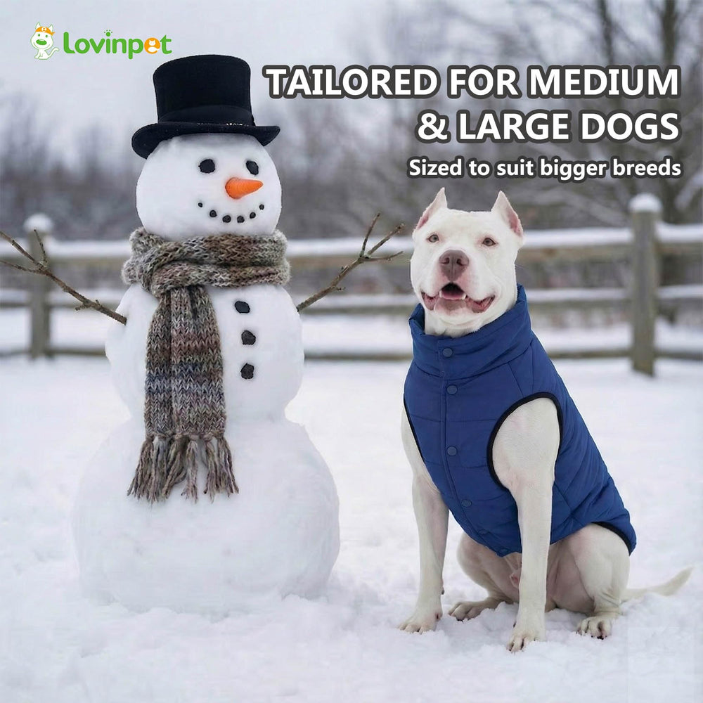 LovinPet abrigo reversible, lavado fácil, limpieza rápida tras aventuras.