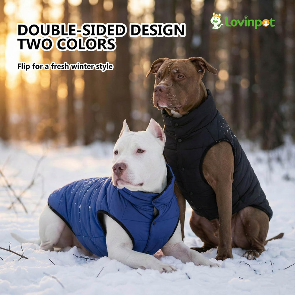 LovinPet abrigo reversible, mangas delanteras ergonómicas, bloqueo de corrientes.