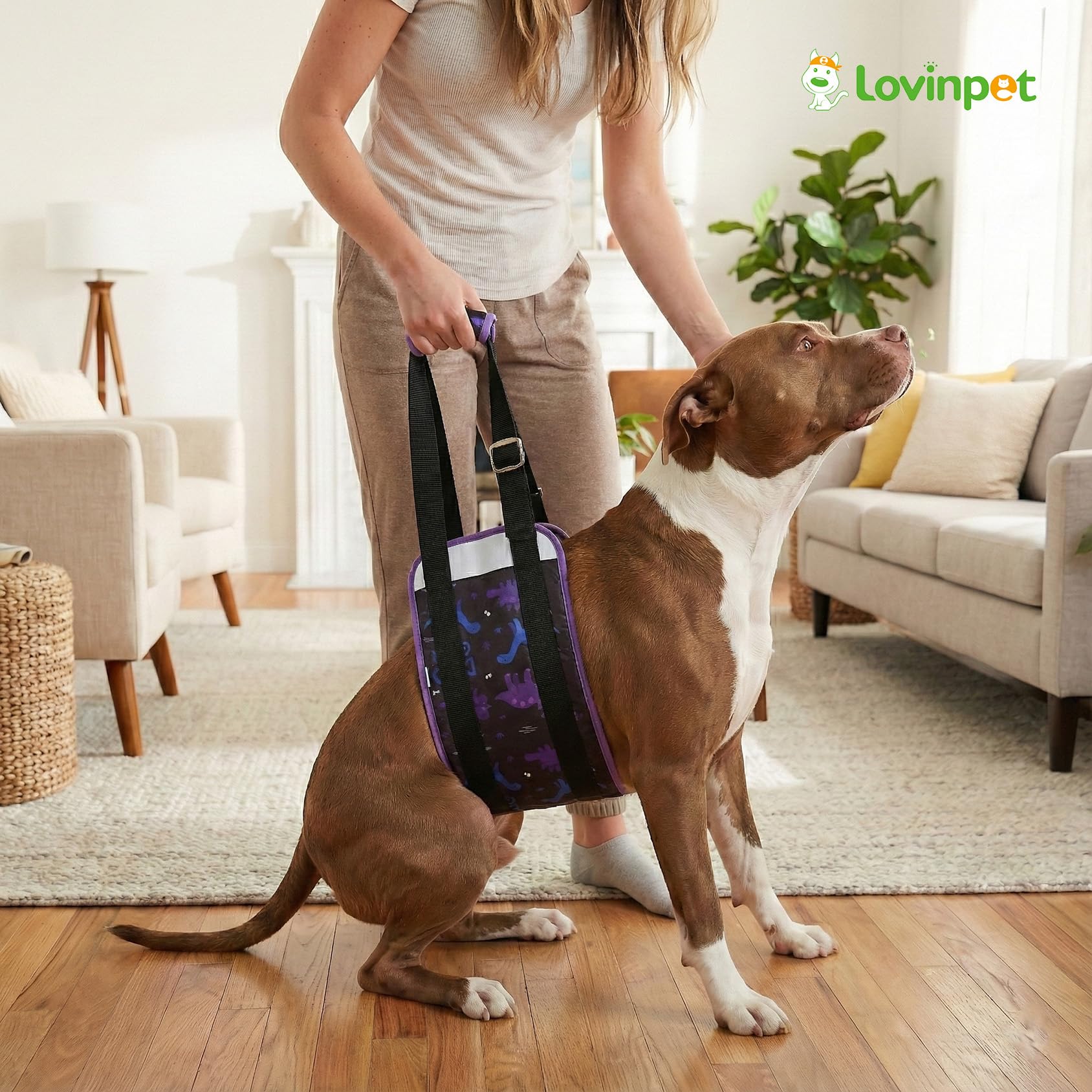 LovinPet arnés con ajuste único facilita subir escaleras y entrar al coche.