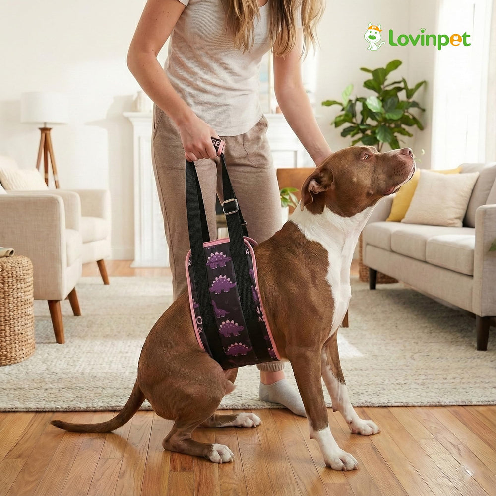 Talla única de LovinPet para razas medianas y grandes con ajuste cómodo