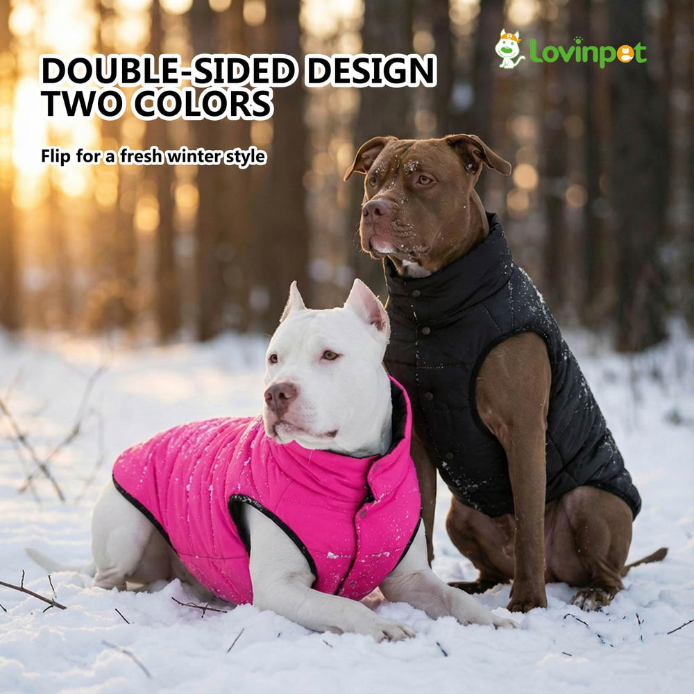 LovinPet chaqueta reversible para perro, aislamiento ligero, calor cómodo