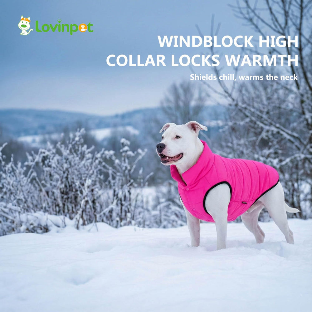 LovinPet chaqueta reversible para perro, dos caras rosa y negro