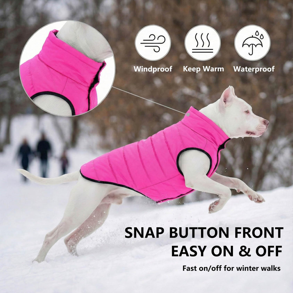 LovinPet chaqueta reversible para perro, tejido exterior, protección contra lluvia ligera