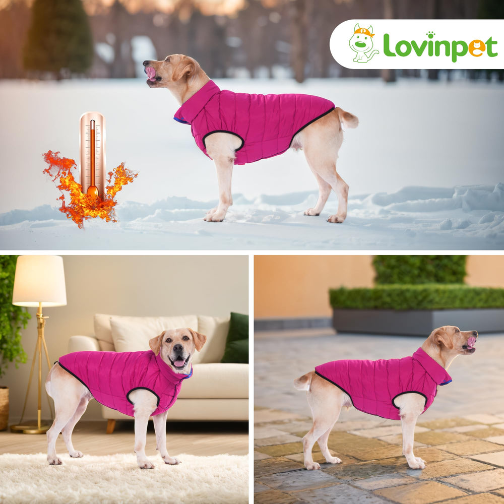 LovinPet chaqueta puffer reversible, etiqueta y empaque para tallas grandes.