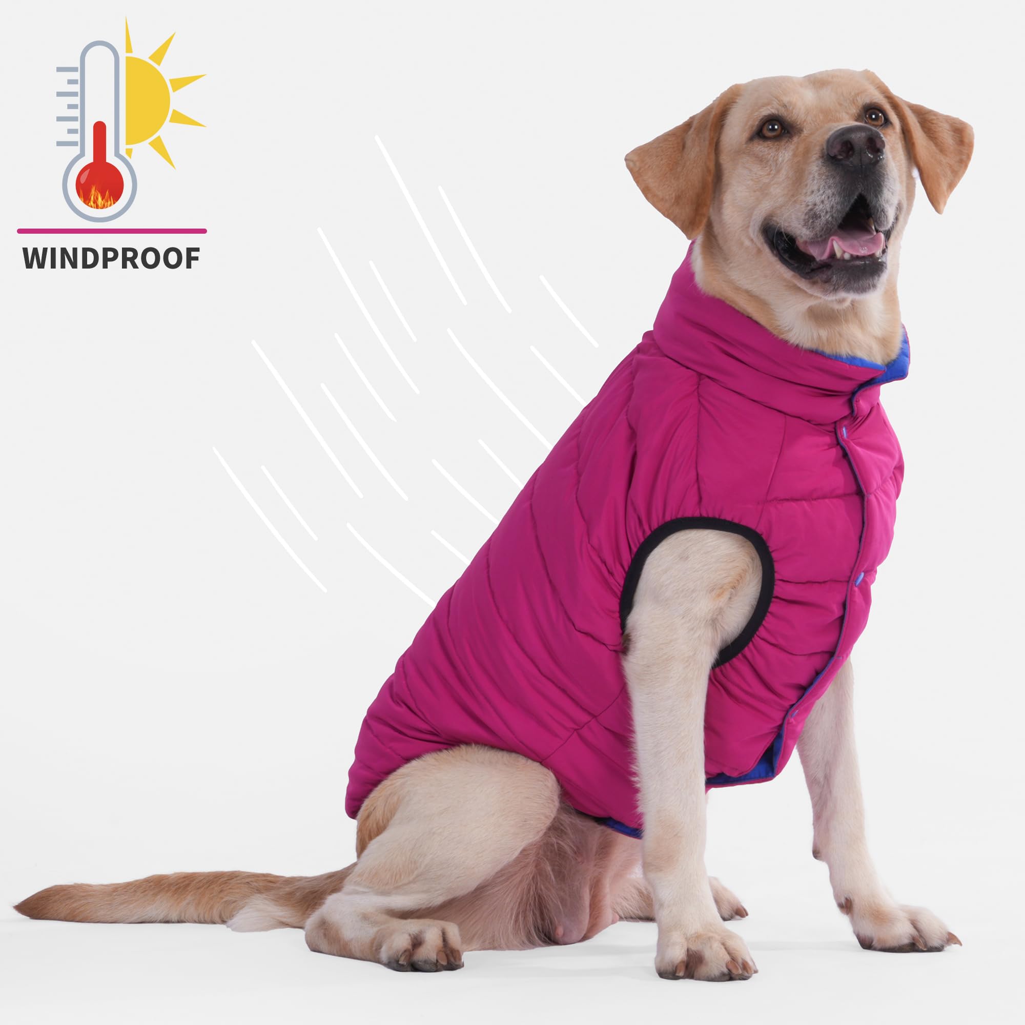 LovinPet chaqueta puffer reversible, tejido azul, textura suave y resistente.