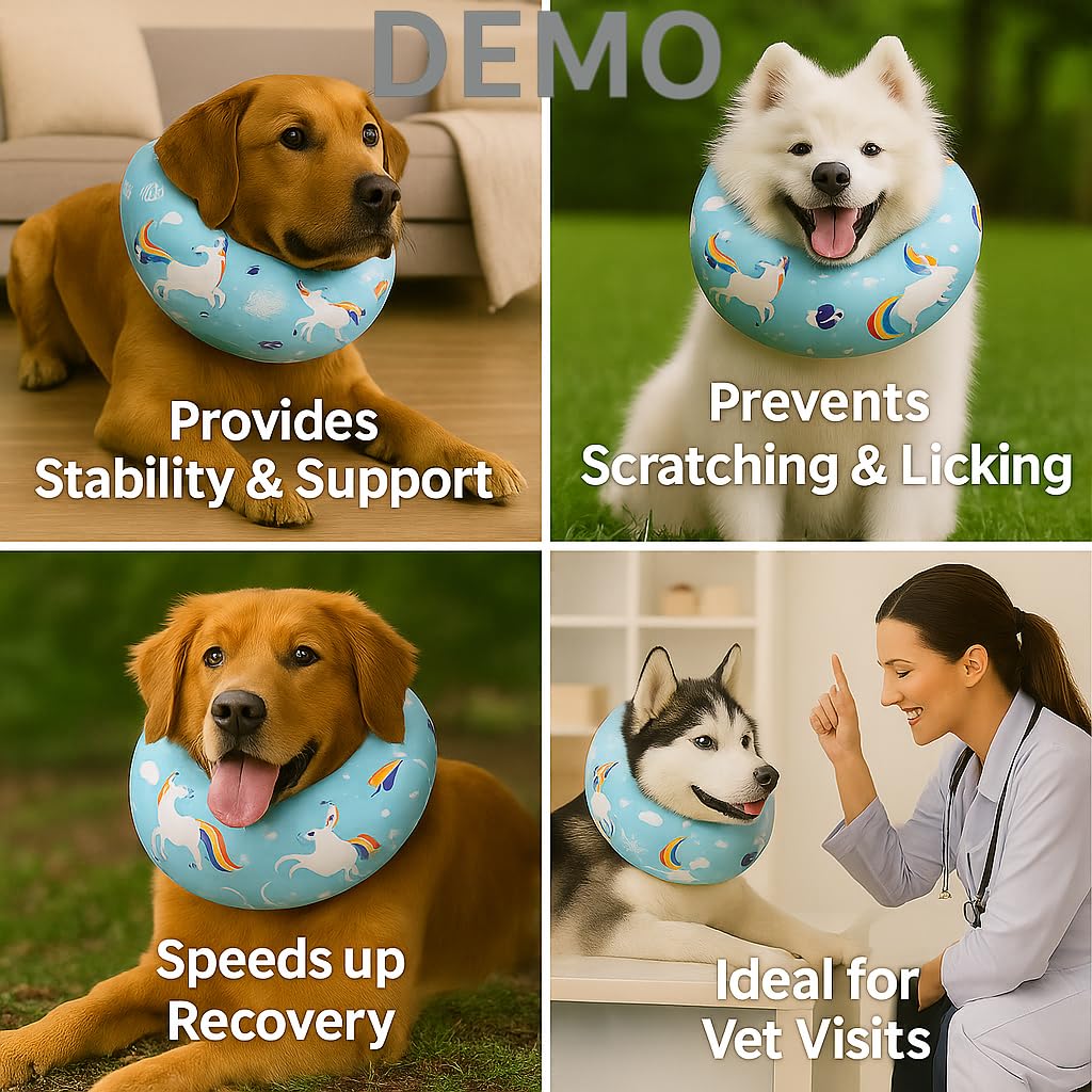 LovinPet collar duradero y sin piezas desmontables, diseño seguro