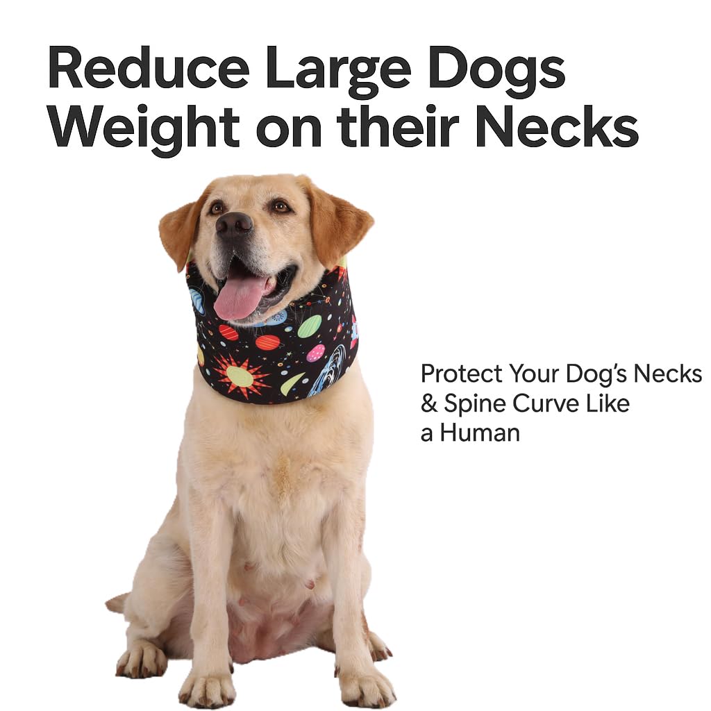 LovinPet collar lavable-diseño-integral: limpieza sencilla sin piezas desmontables.