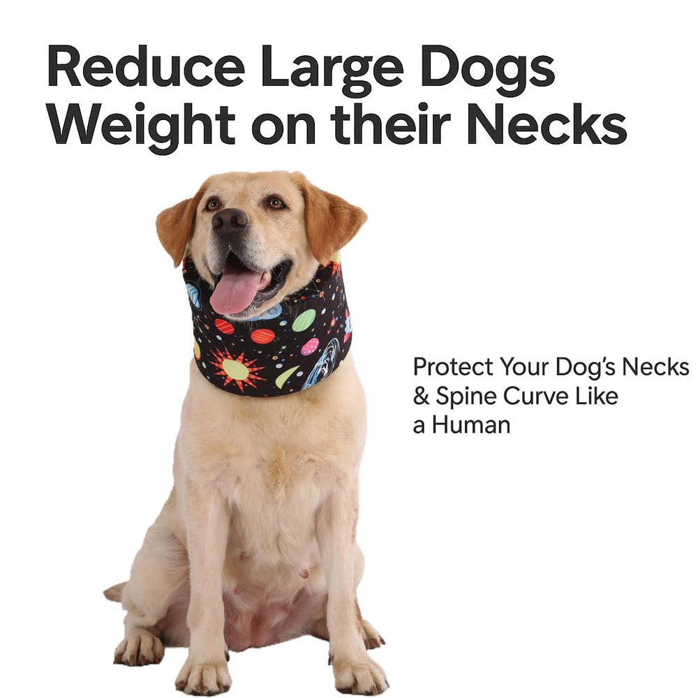 LovinPet collar lavable-diseño-integral: limpieza sencilla sin piezas desmontables.