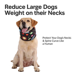 LovinPet collar lavable-diseño-integral: limpieza sencilla sin piezas desmontables.