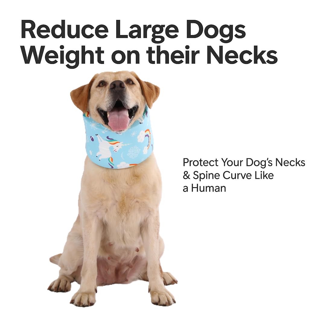 LovinPet collar lavable y secado facil, cuidado práctico