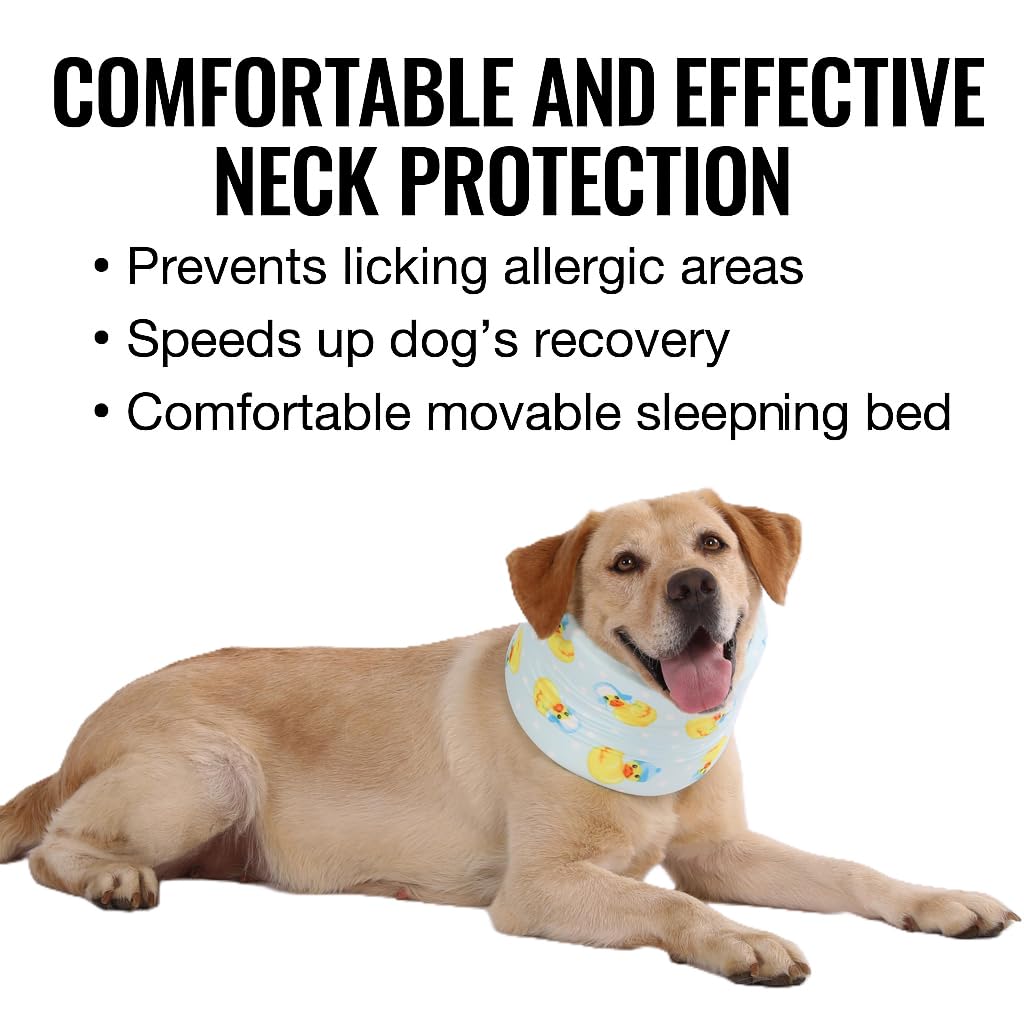 LovinPet collar ligero para uso diario, permite comer y dormir cómodamente.