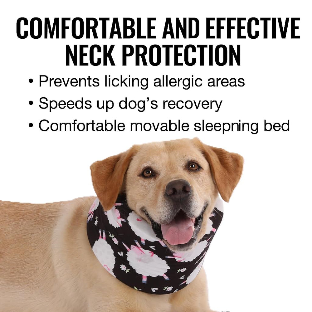 LovinPet correa ajustable para un uso seguro y personalizado.