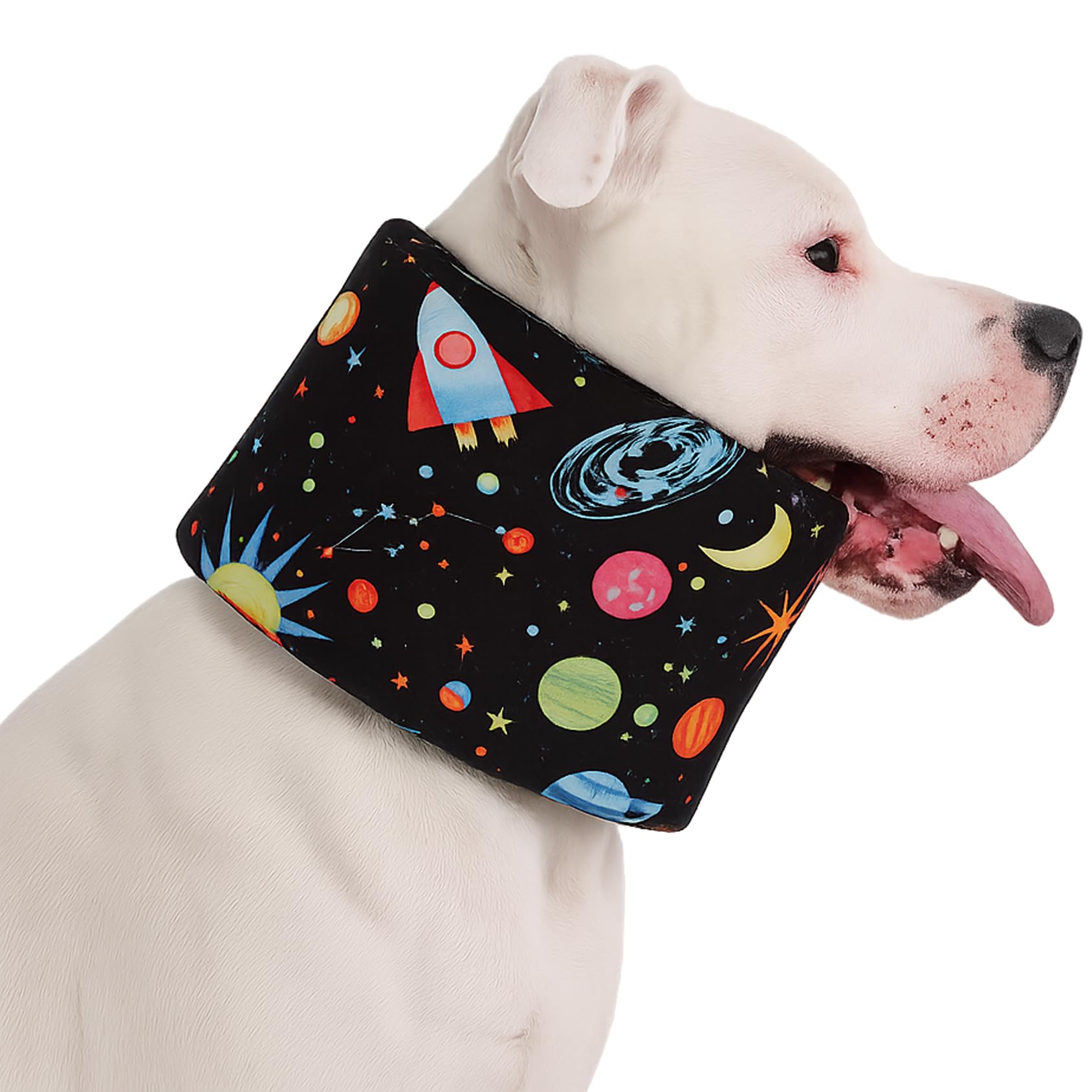 LovinPet collar recuperacion-perro-ajuste: soporte suave para recuperación cómoda y ajuste personalizado.