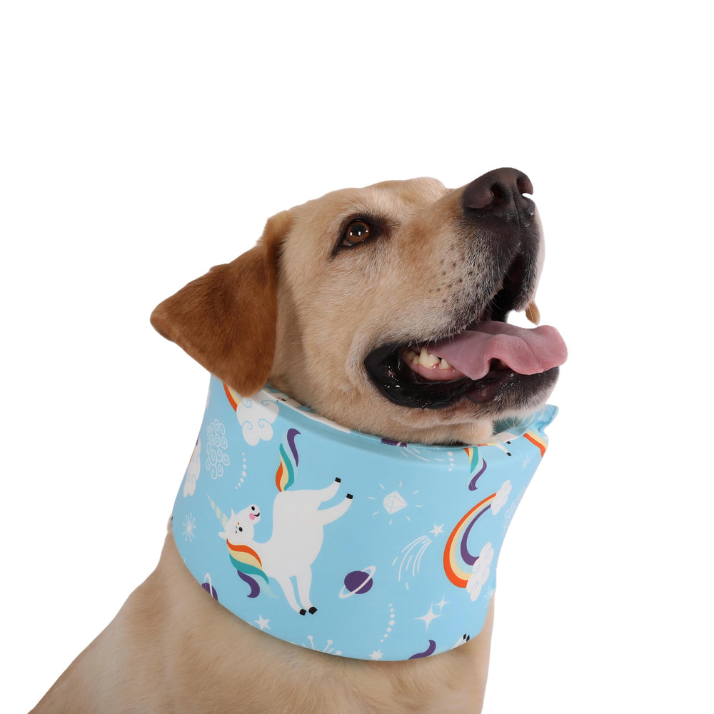 LovinPet collar azul con unicornio, cómodo durante la recuperación diaria del perro