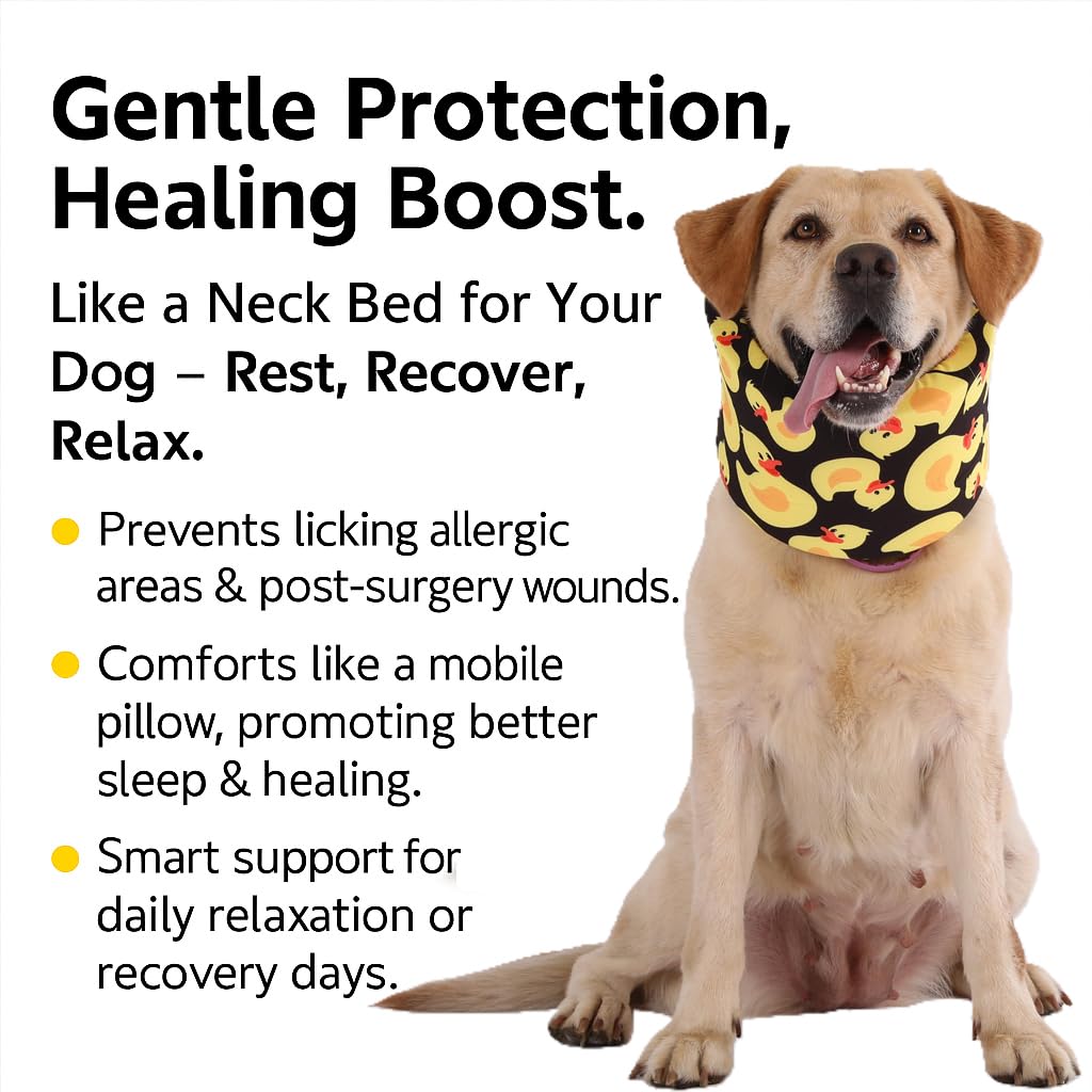 LovinPet collar recuperación con cierre firme para mayor seguridad.