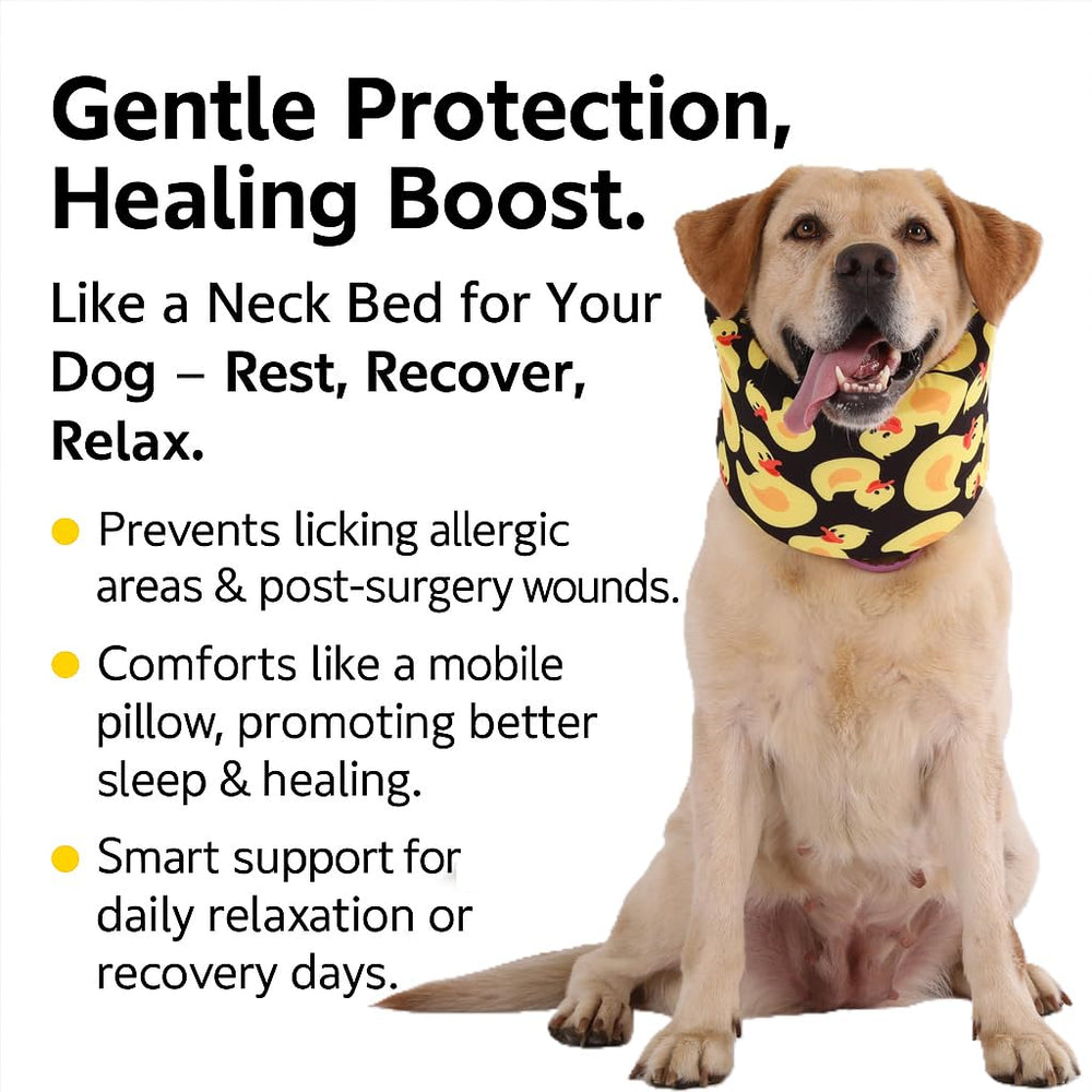 LovinPet collar recuperación con cierre firme para mayor seguridad.