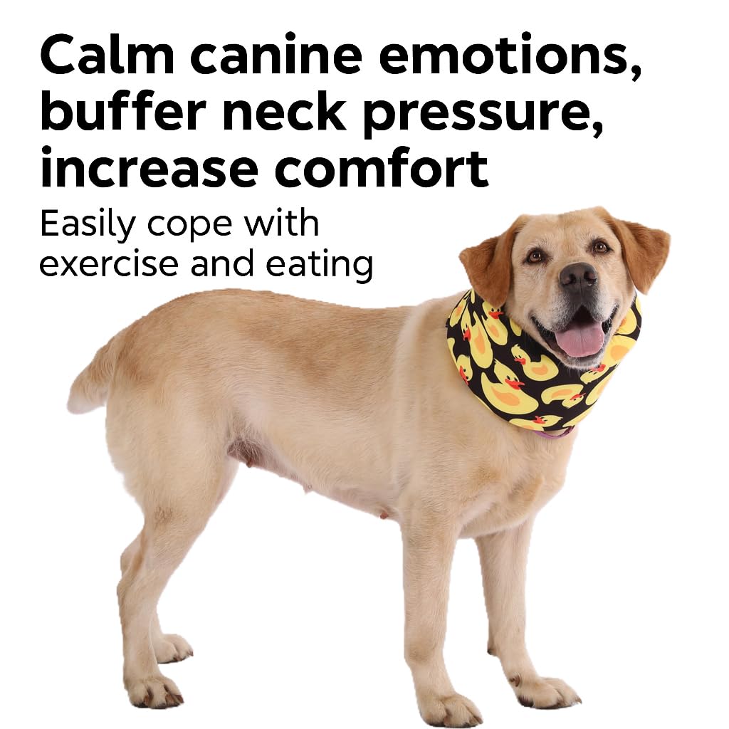LovinPet collar recuperación con estampado pato amarillo, ideal para uso diario.