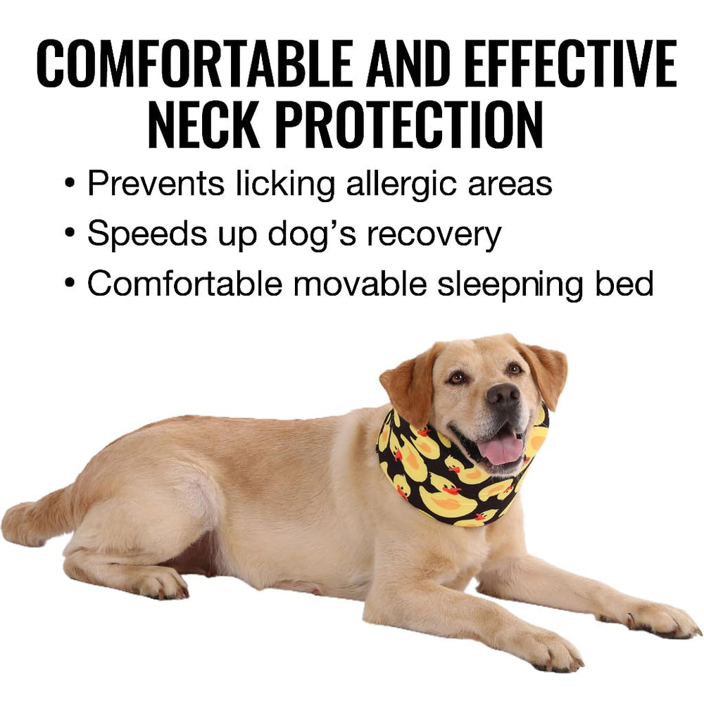 LovinPet collar recuperación para uso diario, ligero y cómodo en casa.