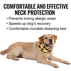 LovinPet collar recuperación para uso diario, ligero y cómodo en casa.