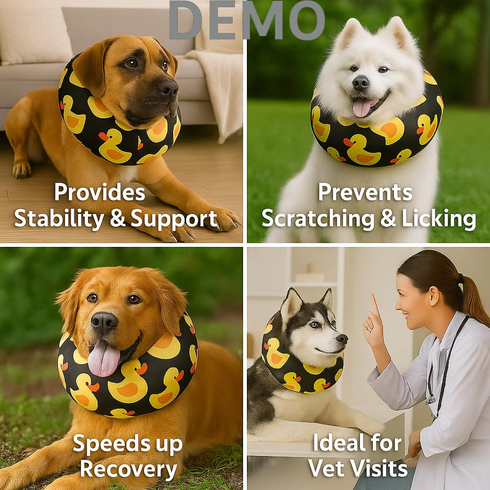 LovinPet collar recuperación, perfecto para viajes y visitas veterinarias.