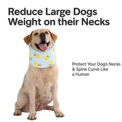 LovinPet collar resistente y lavable, espuma de memoria suave.