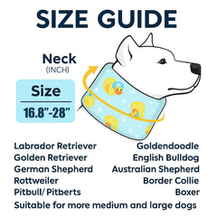 LovinPet collar suave-cuello con amortiguación para recuperación.