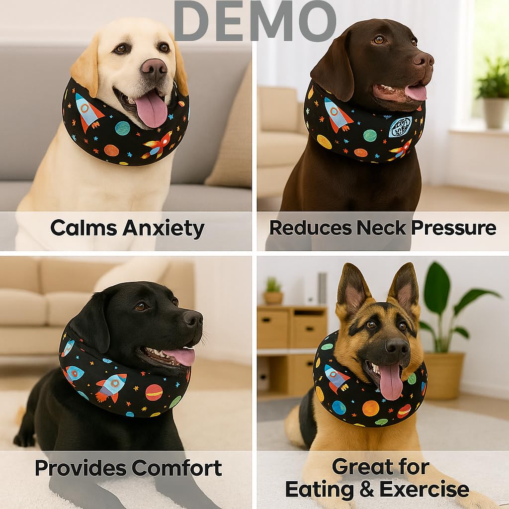 LovinPet collar uso-diario-libre-movimiento: cómodo para comer, dormir y caminar.