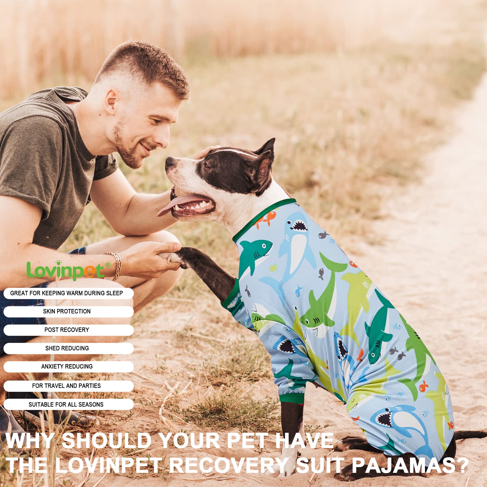 LovinPet diseño adorable en turquesa para perros grandes.