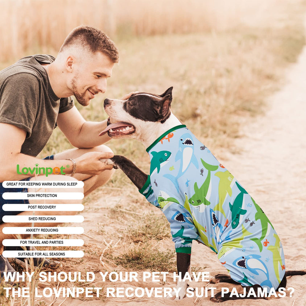 LovinPet diseño adorable en turquesa para perros grandes.