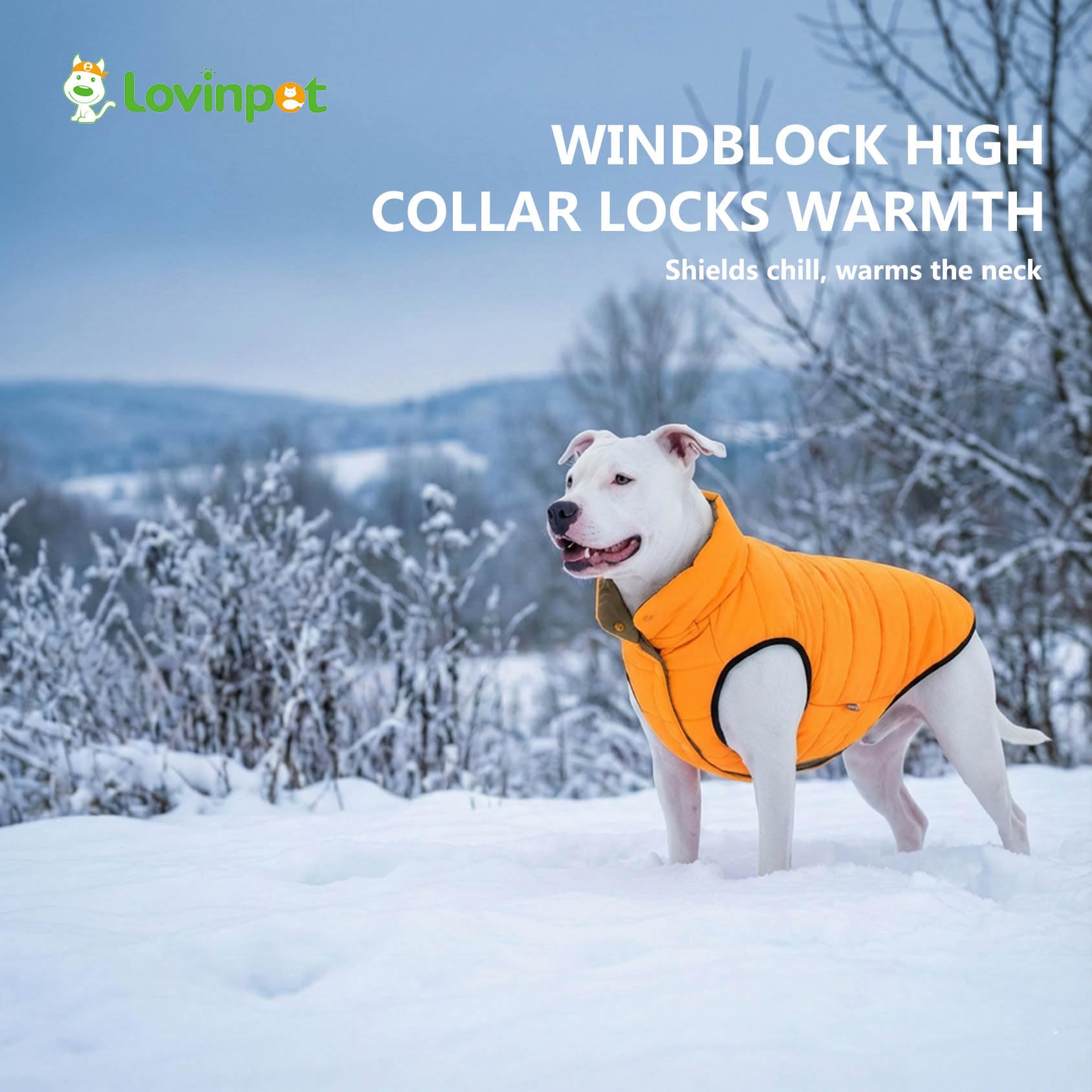LovinPet diseño ergonómico para perros grandes.